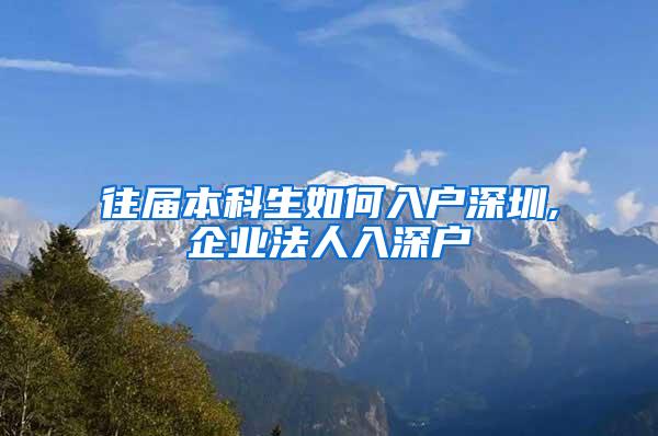 往届本科生如何入户深圳,企业法人入深户