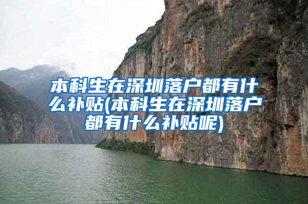本科生在深圳落户都有什么补贴(本科生在深圳落户都有什么补贴呢)