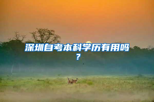 深圳自考本科学历有用吗？