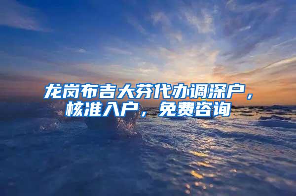 龙岗布吉大芬代办调深户，核准入户，免费咨询