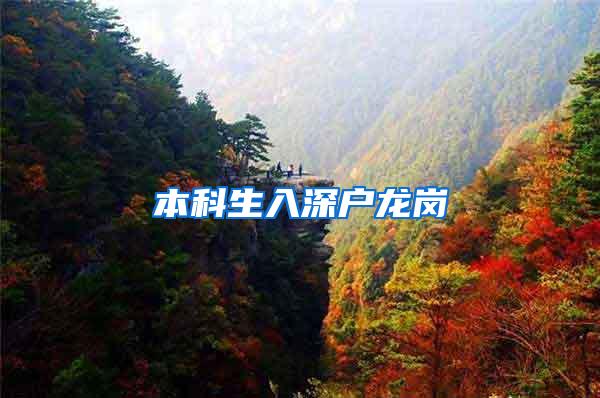 本科生入深户龙岗