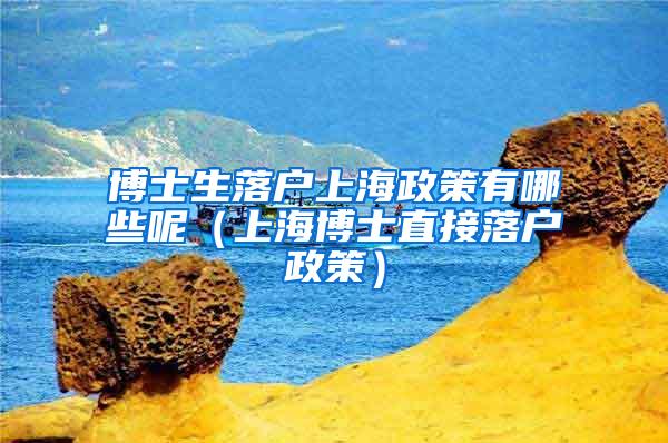 博士生落户上海政策有哪些呢（上海博士直接落户政策）