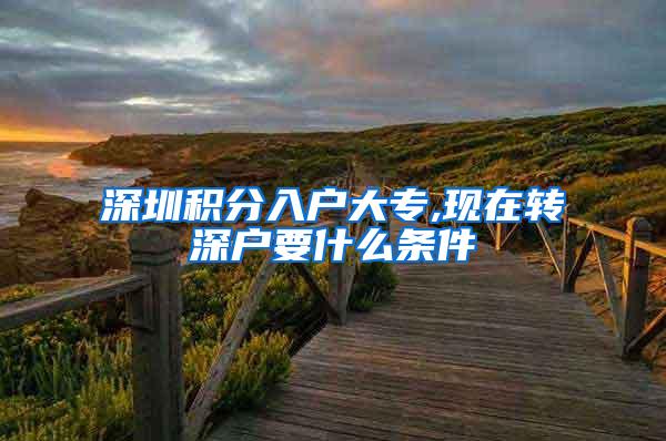 深圳积分入户大专,现在转深户要什么条件
