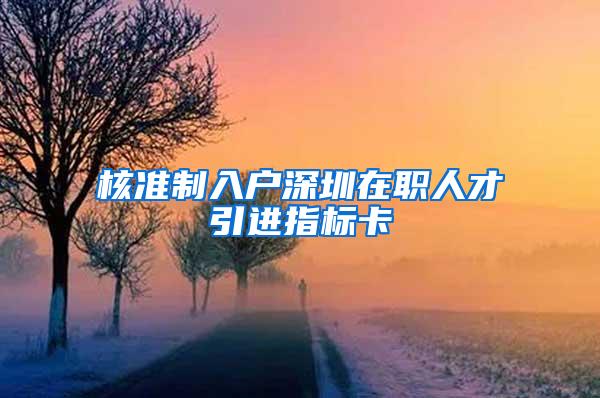 核准制入户深圳在职人才引进指标卡