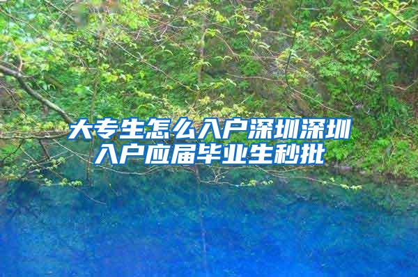 大专生怎么入户深圳深圳入户应届毕业生秒批