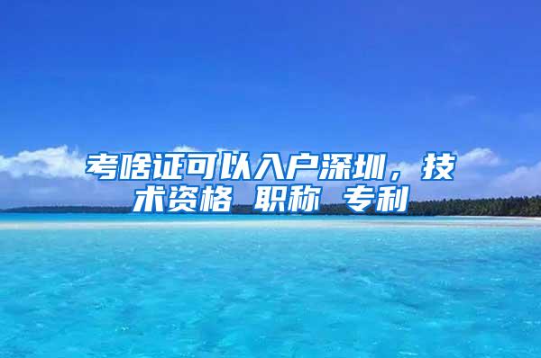 考啥证可以入户深圳，技术资格 职称 专利