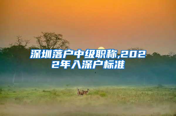 深圳落户中级职称,2022年入深户标准