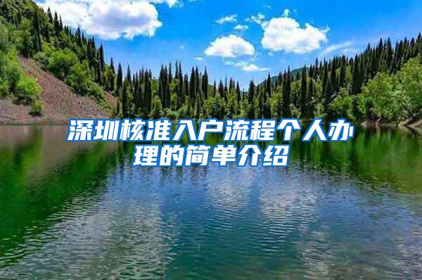 深圳核准入户流程个人办理的简单介绍
