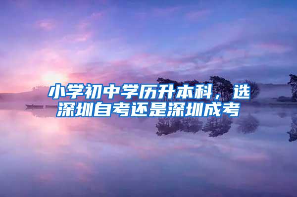 小学初中学历升本科，选深圳自考还是深圳成考