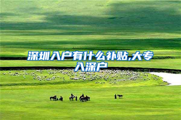 深圳入户有什么补贴,大专入深户