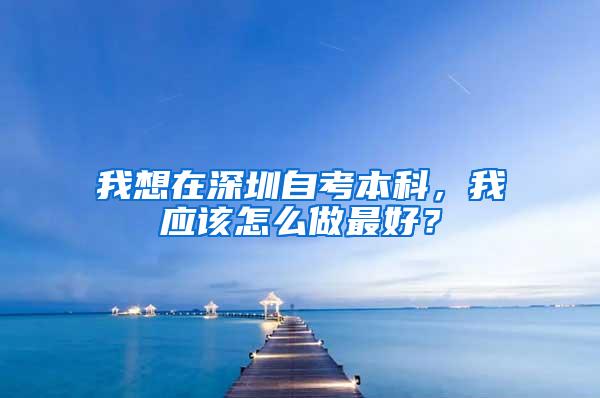我想在深圳自考本科，我应该怎么做最好？