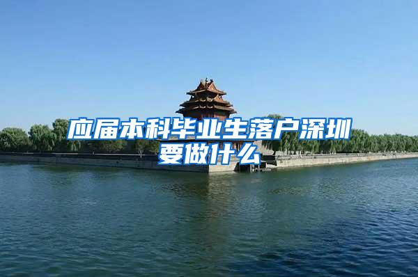 应届本科毕业生落户深圳要做什么
