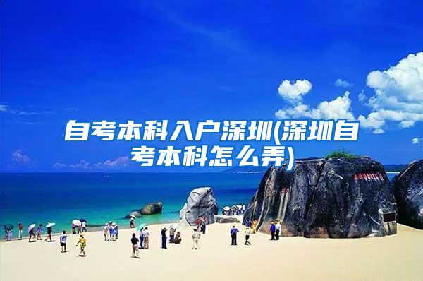 自考本科入户深圳(深圳自考本科怎么弄)