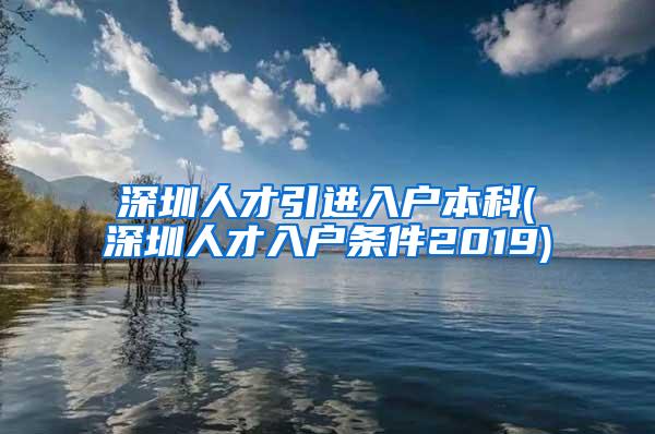 深圳人才引进入户本科(深圳人才入户条件2019)