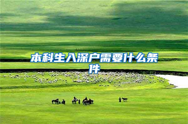 本科生入深户需要什么条件