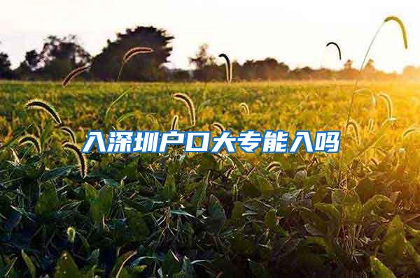 入深圳户口大专能入吗