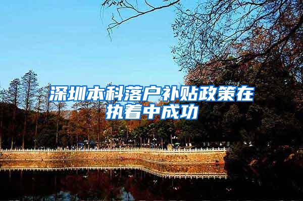 深圳本科落户补贴政策在执着中成功