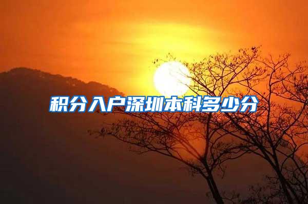 积分入户深圳本科多少分