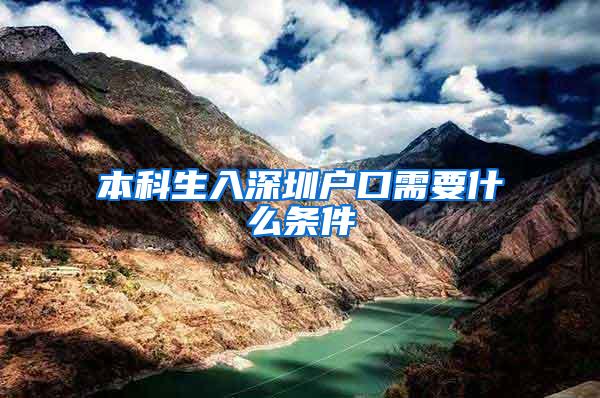 本科生入深圳户口需要什么条件