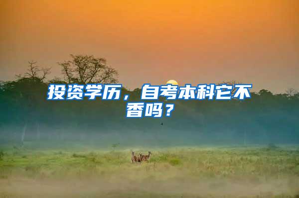 投资学历，自考本科它不香吗？