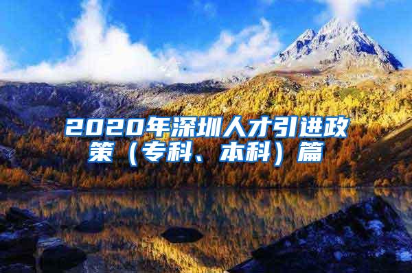 2020年深圳人才引进政策（专科、本科）篇