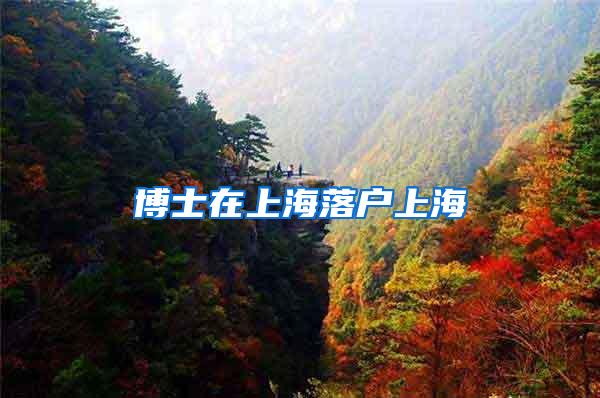 博士在上海落户上海