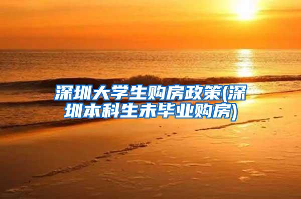 深圳大学生购房政策(深圳本科生未毕业购房)