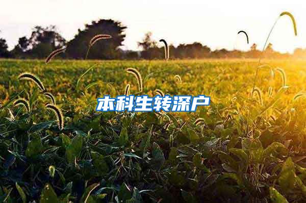 本科生转深户