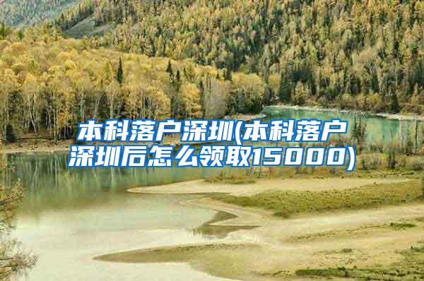 本科落户深圳(本科落户深圳后怎么领取15000)