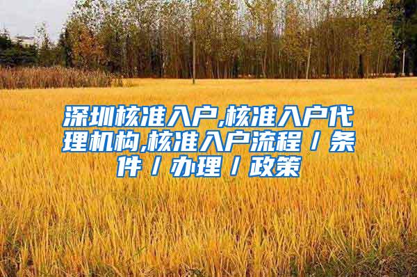深圳核准入户,核准入户代理机构,核准入户流程／条件／办理／政策