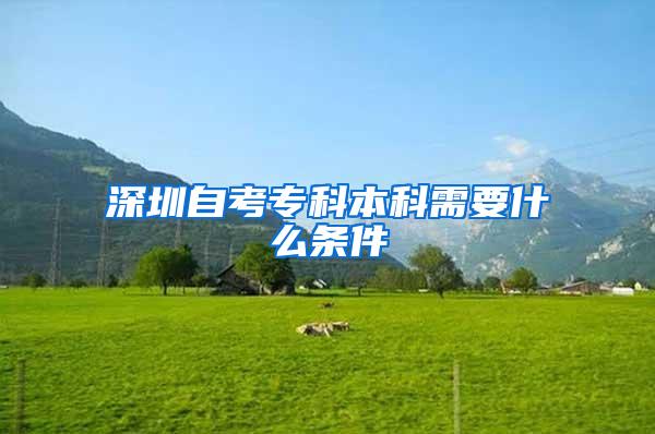 深圳自考专科本科需要什么条件