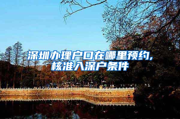 深圳办理户口在哪里预约,核准入深户条件