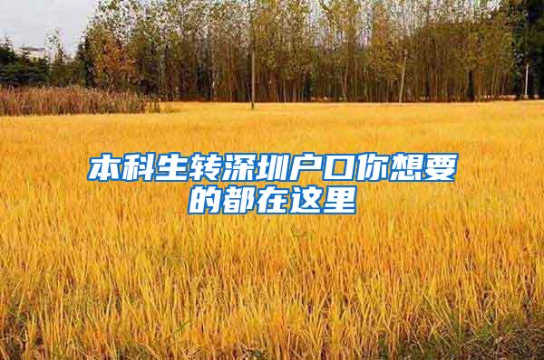 本科生转深圳户口你想要的都在这里