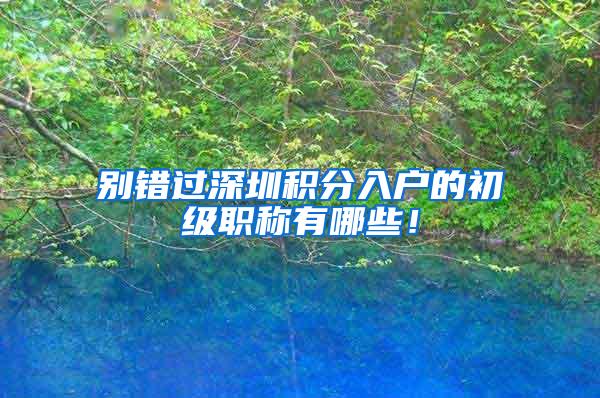 别错过深圳积分入户的初级职称有哪些！