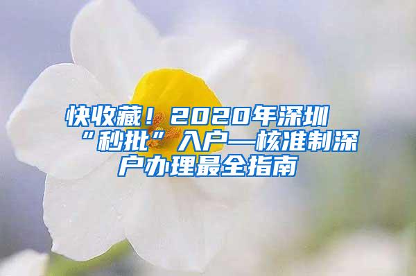 快收藏！2020年深圳“秒批”入户—核准制深户办理最全指南
