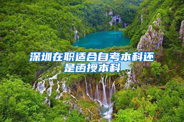 深圳在职适合自考本科还是函授本科
