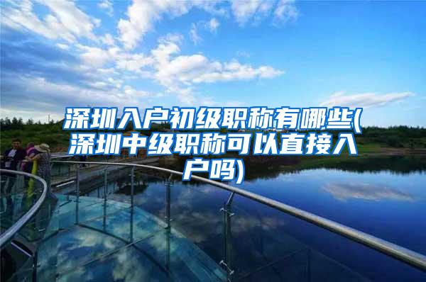 深圳入户初级职称有哪些(深圳中级职称可以直接入户吗)