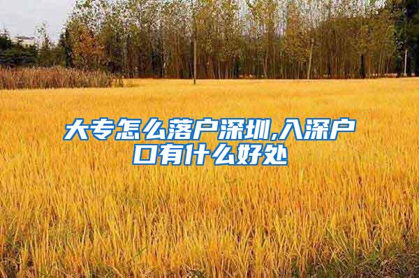 大专怎么落户深圳,入深户口有什么好处