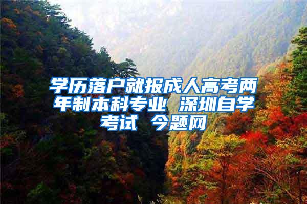 学历落户就报成人高考两年制本科专业 深圳自学考试 今题网
