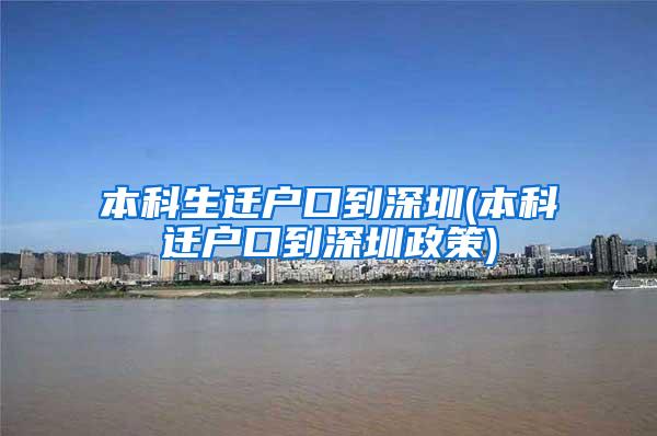 本科生迁户口到深圳(本科迁户口到深圳政策)