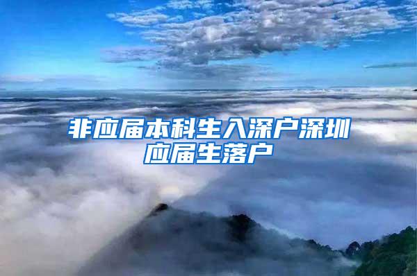 非应届本科生入深户深圳应届生落户