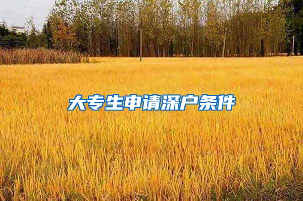 大专生申请深户条件