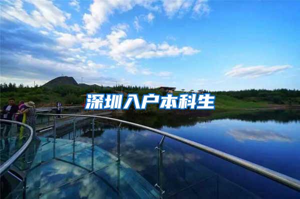 深圳入户本科生