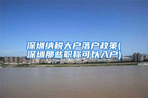 深圳纳税大户落户政策(深圳那些职称可以入户)