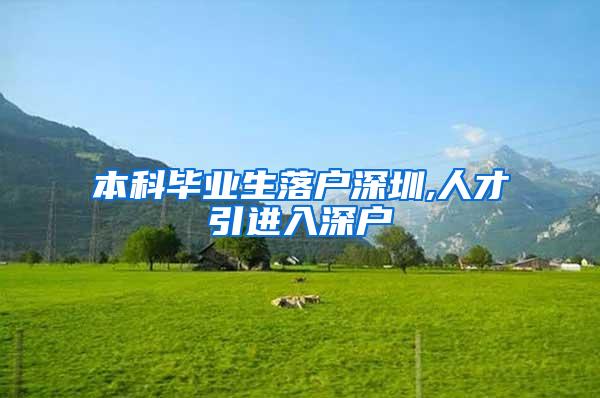 本科毕业生落户深圳,人才引进入深户