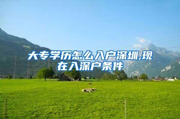 大专学历怎么入户深圳,现在入深户条件