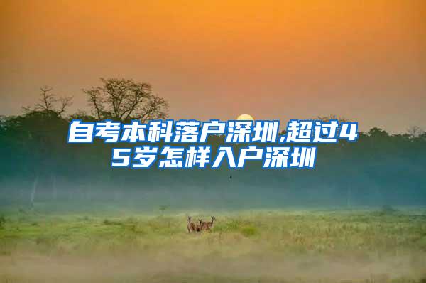 自考本科落户深圳,超过45岁怎样入户深圳