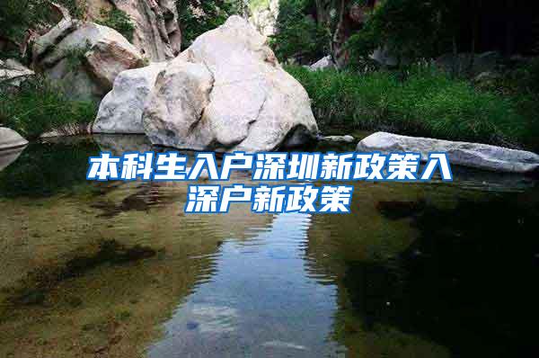 本科生入户深圳新政策入深户新政策