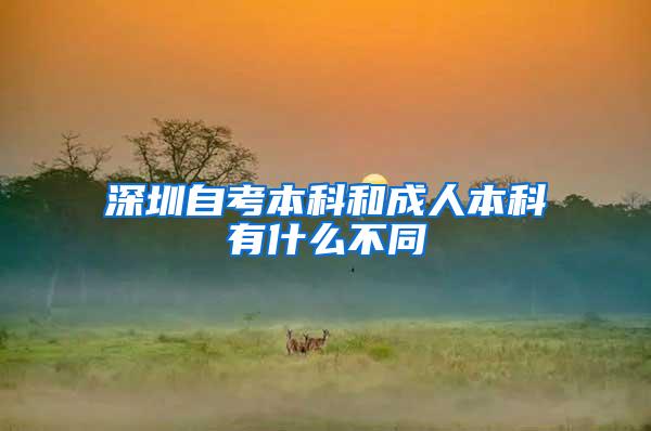 深圳自考本科和成人本科有什么不同