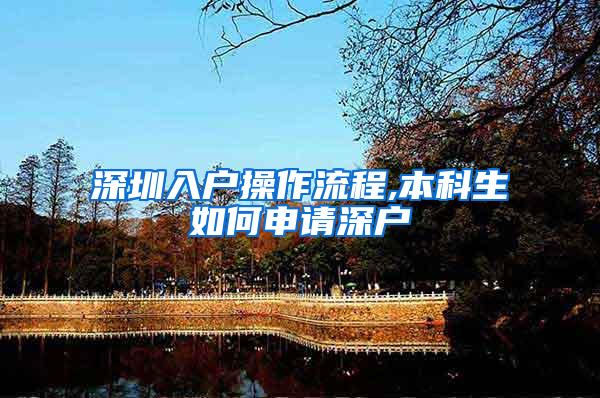 深圳入户操作流程,本科生如何申请深户